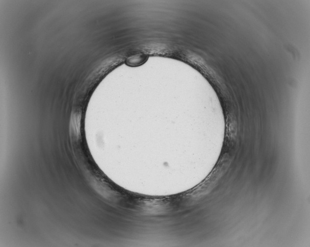 X0000112040070200909141126