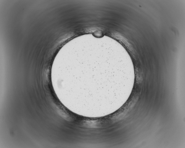 X0000112040071200909141126
