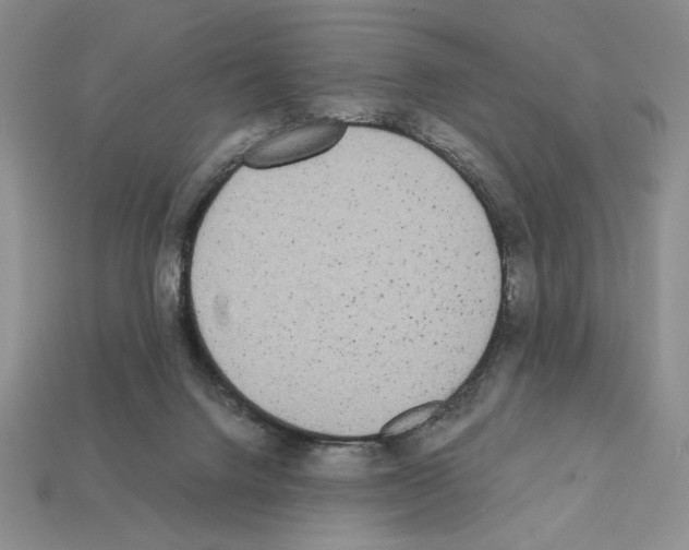 X0000112040072200909141126