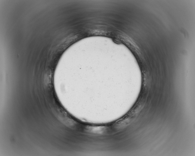 X0000112040073200909141126