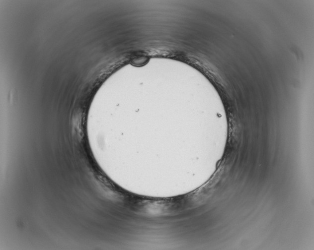 X0000112040074200909141126