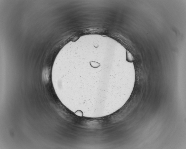 X0000112040075200909141126