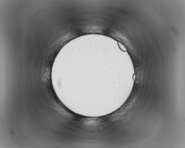 X0000112040077200909141126