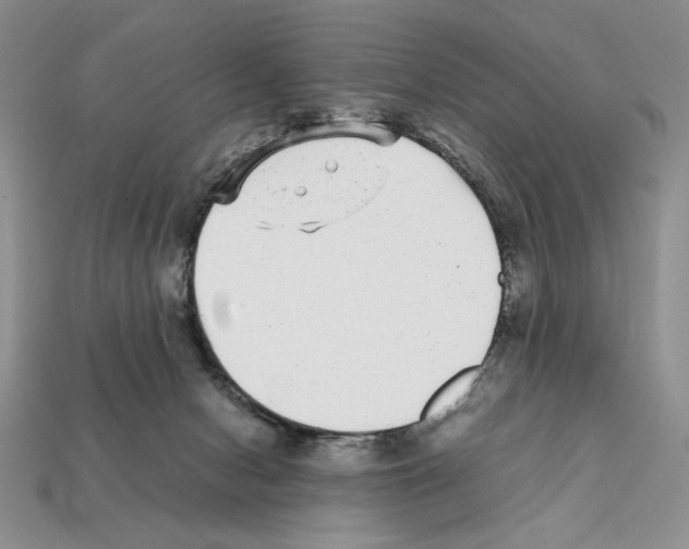 X0000112040078200909141126