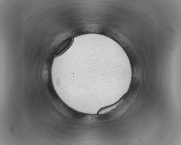 X0000112040080200909141126