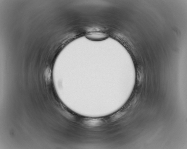 X0000112040081200909141126