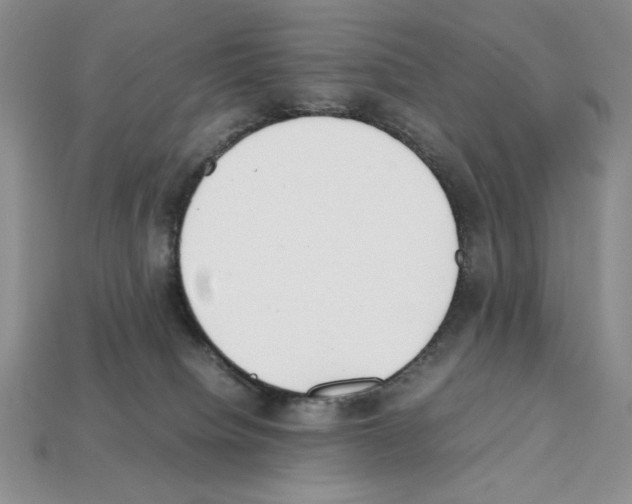 X0000112040084200909141126