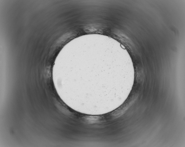 X0000112040085200909141126