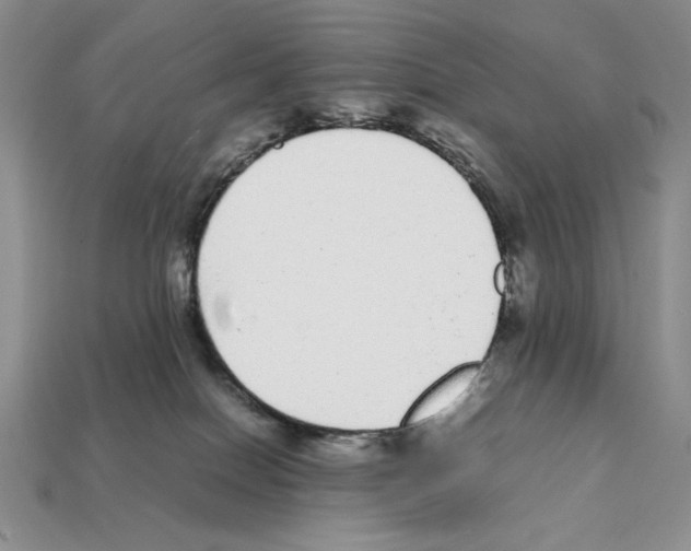 X0000112040086200909141126