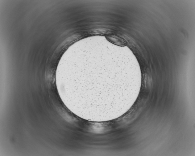X0000112040091200909141126