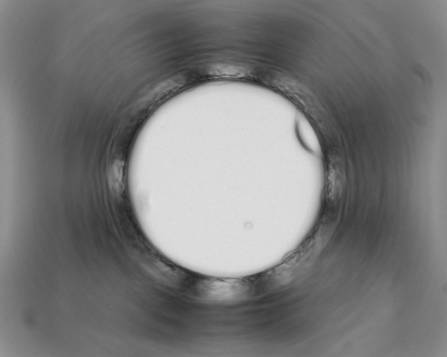 X0000112040093200909141126