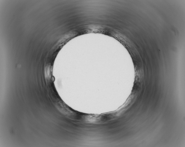 X0000112040094200909141126