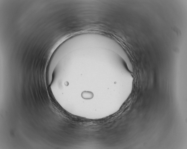 X0000112040100200909141125