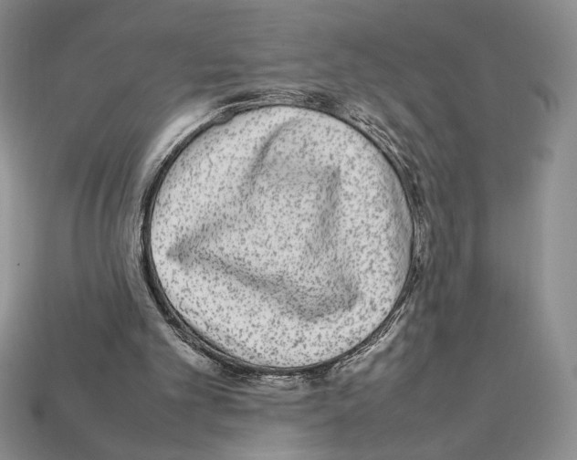X0000112040101200909141125