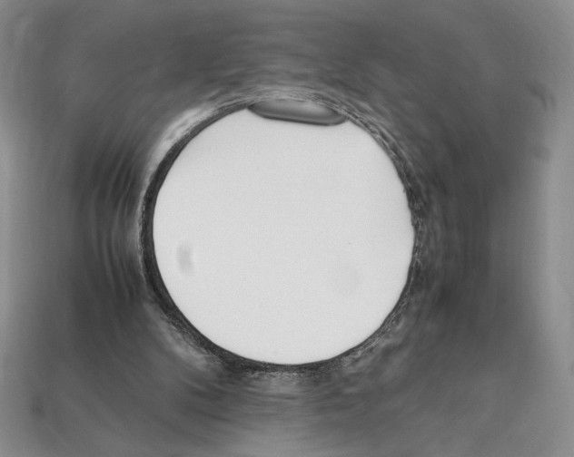 X0000112040104200909141125