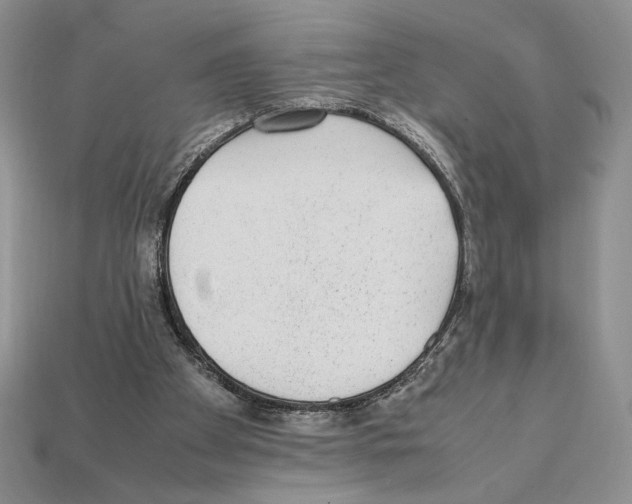 X0000112040105200909141125