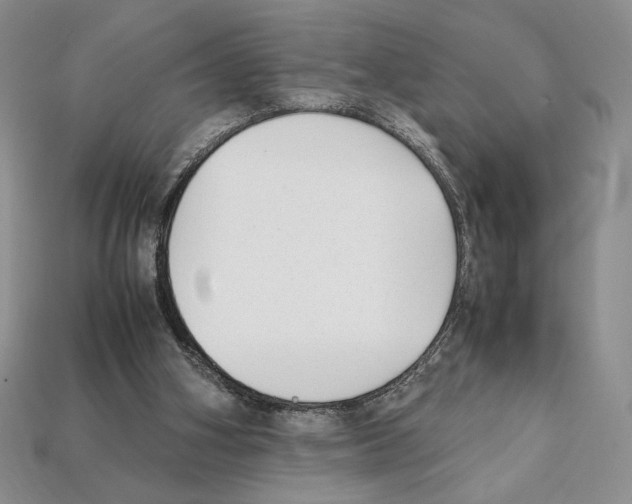 X0000112040106200909141125