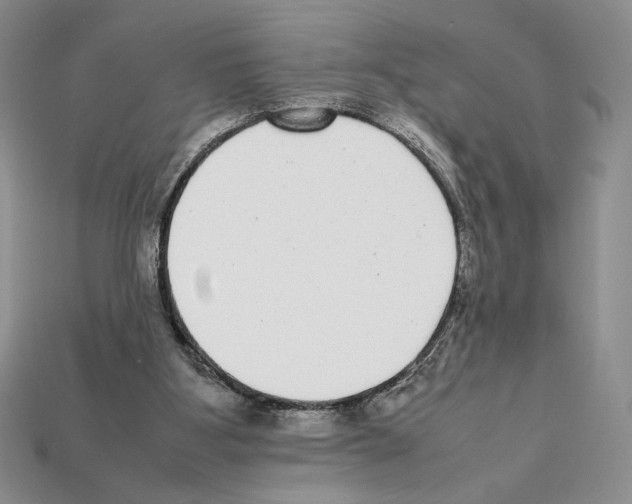 X0000112040107200909141125