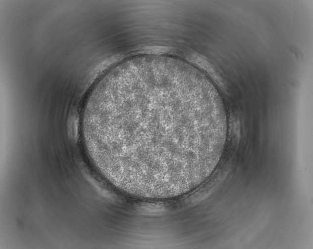 X0000112040110200909141125