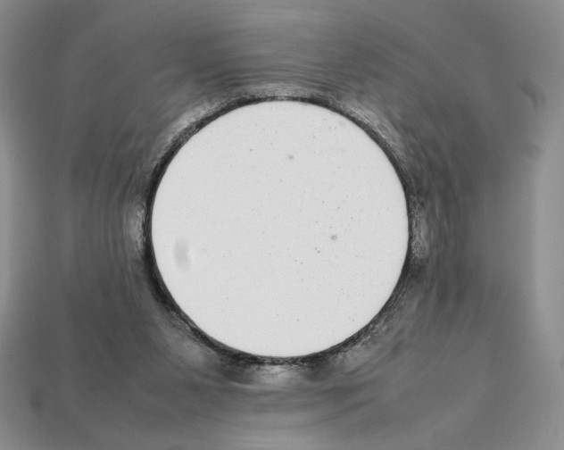 X0000112040111200909141125