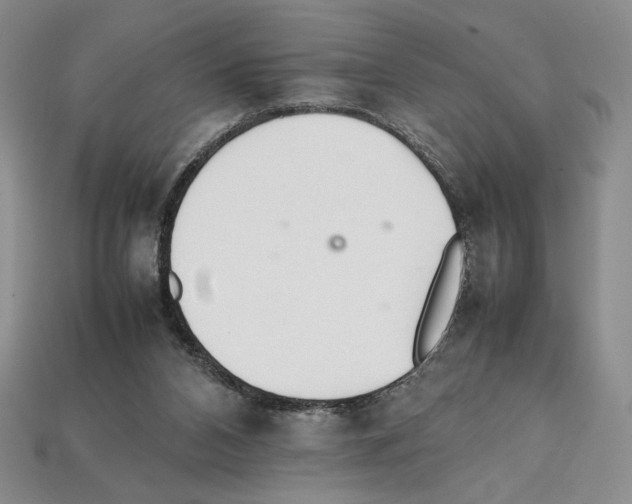 X0000112040112200909141125