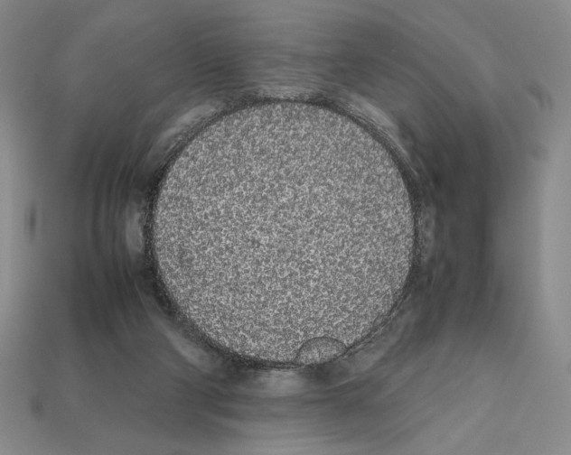 X0000112040114200909141125