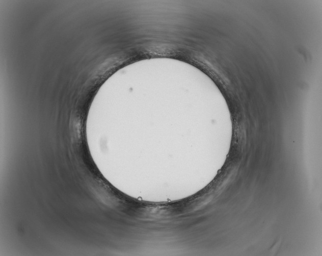 X0000112040117200909141125