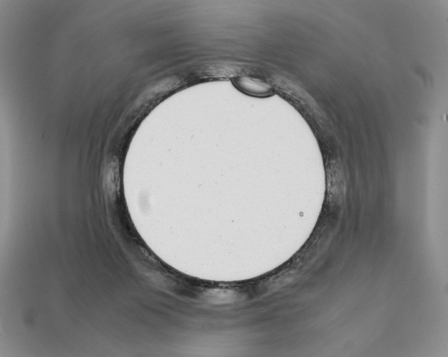 X0000112040119200909141125