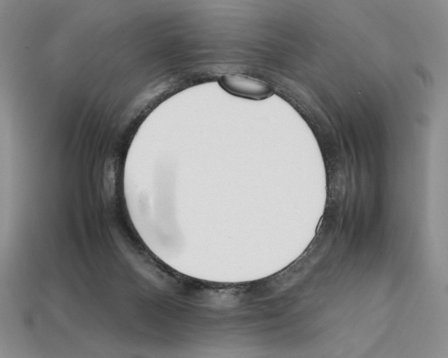 X0000112040120200909141125