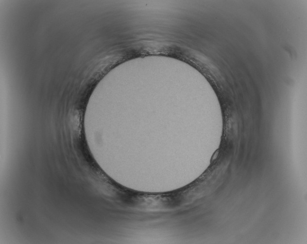 X0000112040121200909141125
