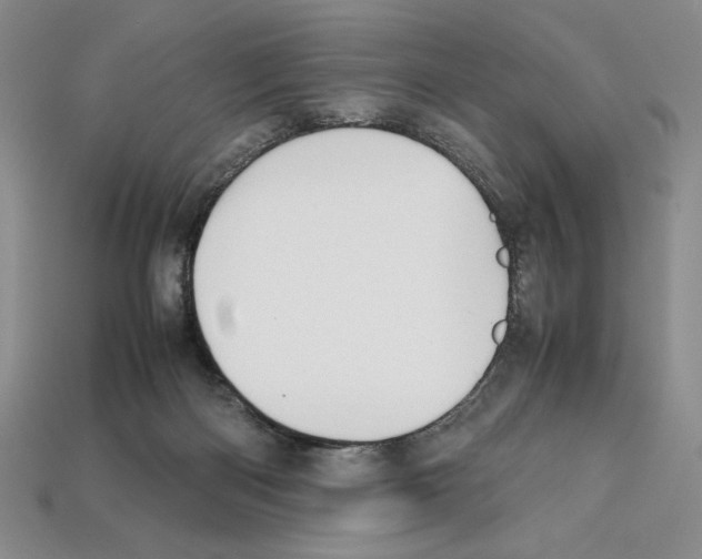 X0000112040122200909141125
