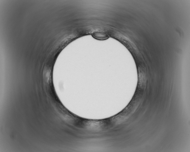 X0000112040123200909141125