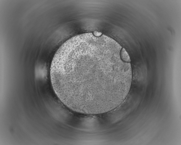 X0000112040124200909141125