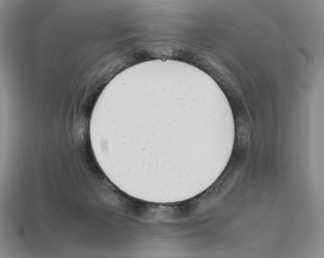 X0000112040125200909141125