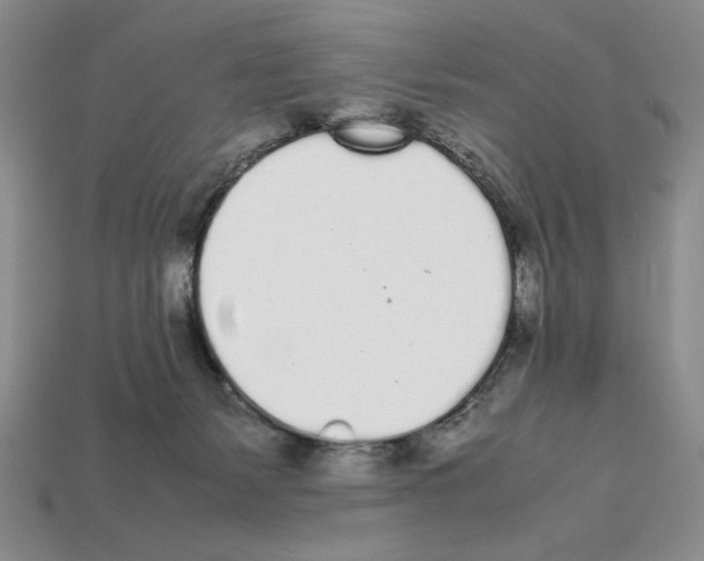 X0000112040127200909141125