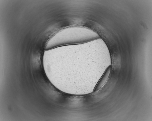 X0000112040128200909141125