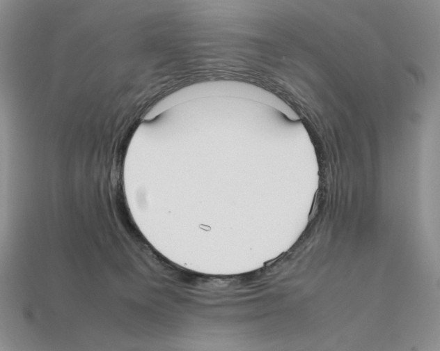 X0000112040129200909141125