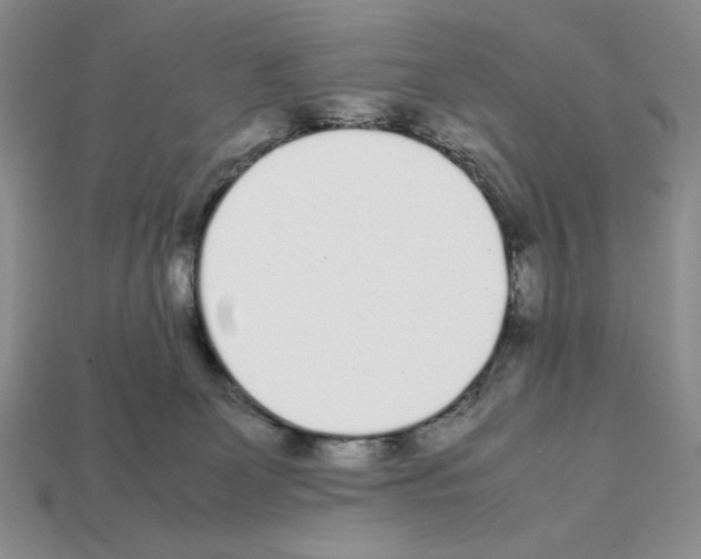 X0000112040131200909141125