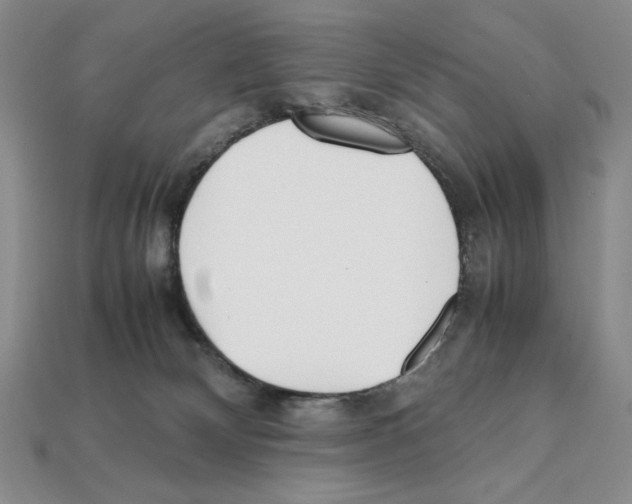 X0000112040132200909141125