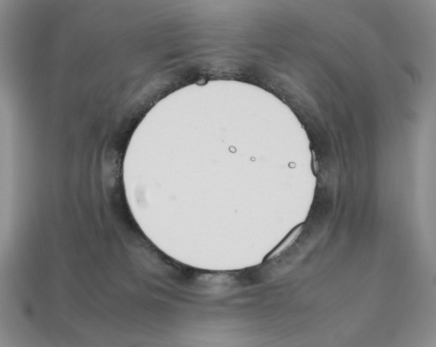X0000112040133200909141125