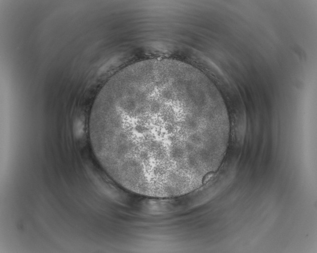X0000112040134200909141125
