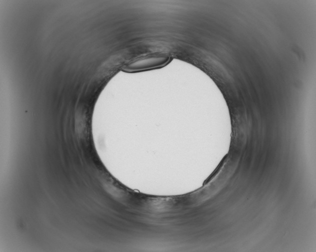 X0000112040136200909141125