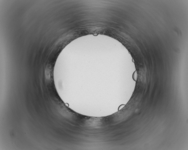 X0000112040138200909141125