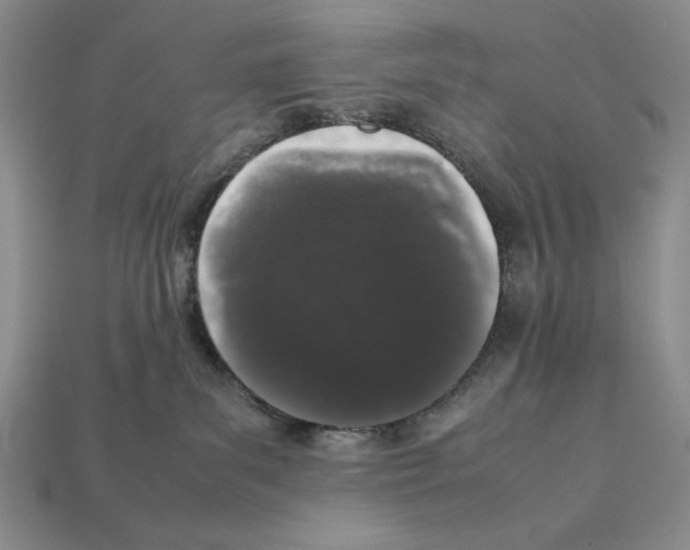 X0000112040139200909141125