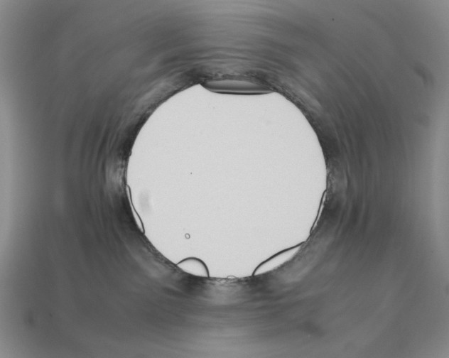 X0000112040141200909141125