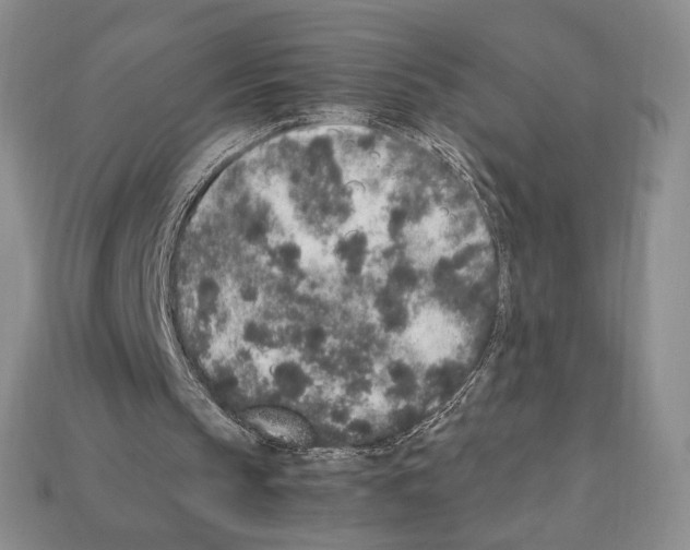 X0000112040145200909141124