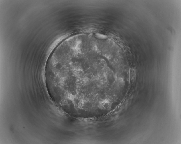 X0000112040147200909141124