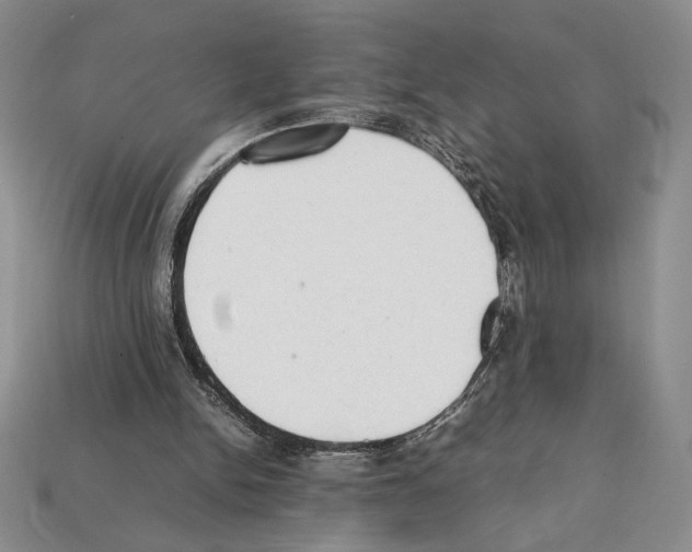 X0000112040150200909141124