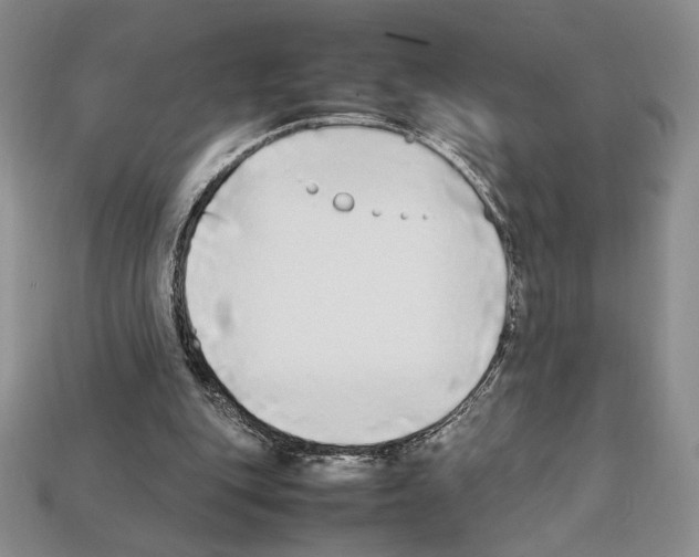 X0000112040151200909141124
