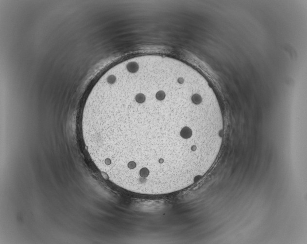 X0000112040155200909141124